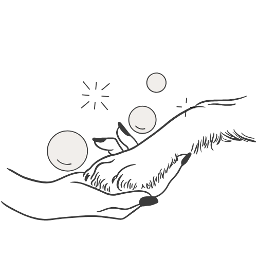 Collars and Clippers logo