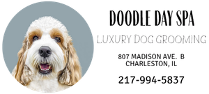 Doodle Day Spa logo