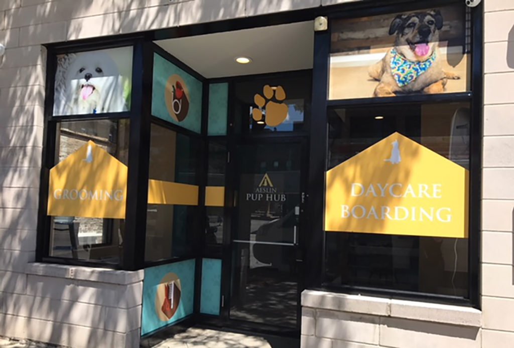 Aeslin Pup Hub Noble Square